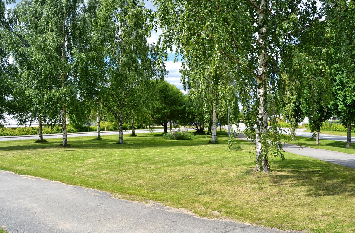 puisto.jpg