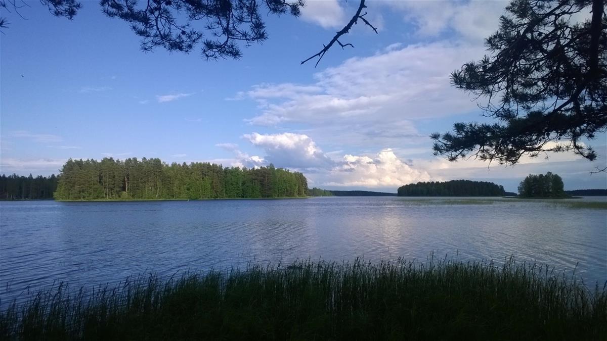 Nilakkaa.jpg