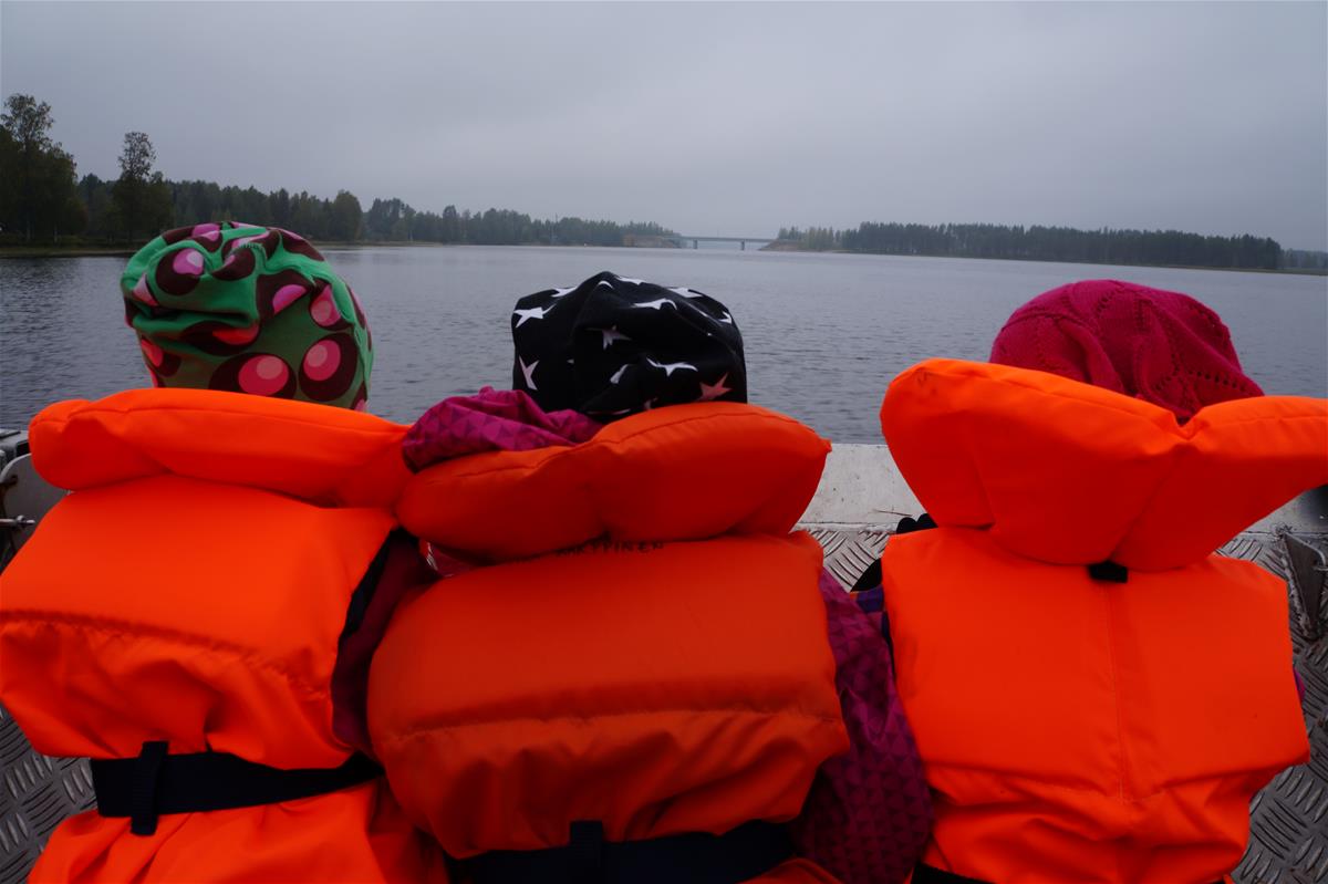 luontoeskari7_saturaatikainen.jpg