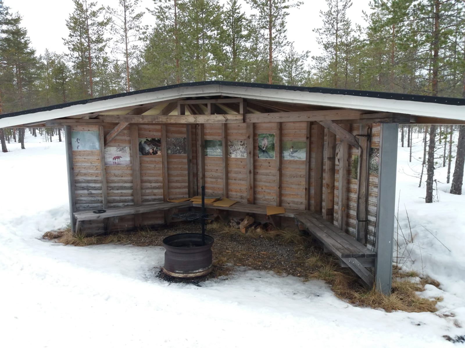 IMG-20190402-WA0001.jpg